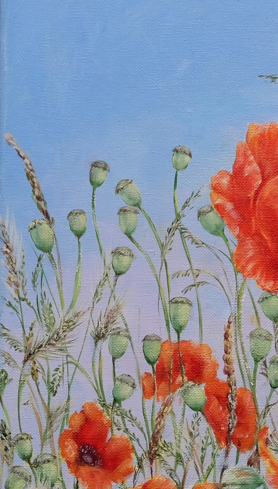 Poppies