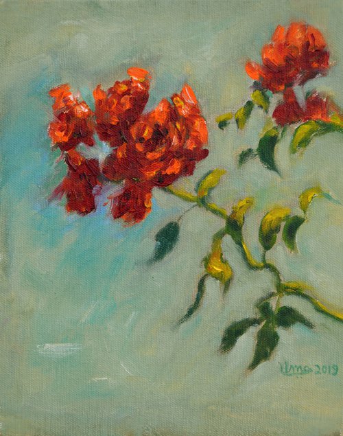 Sunshine and Roses by Uma  Krishnamoorthy