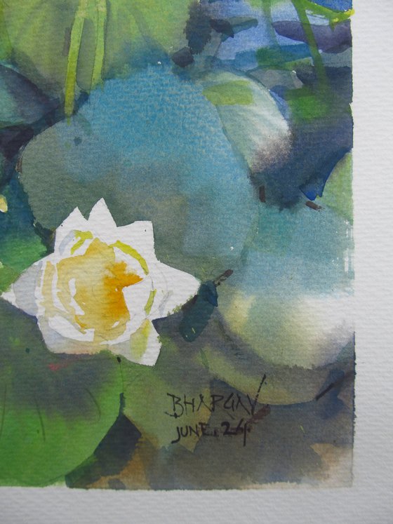 White Lotus