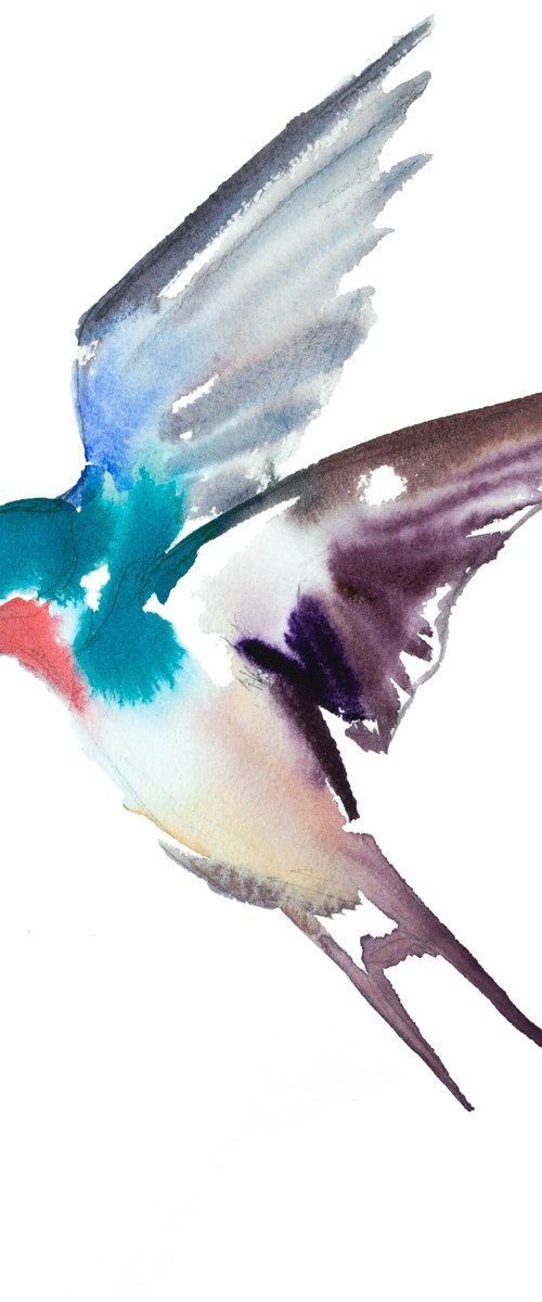 Swallow No. 34 by Elizabeth Becker