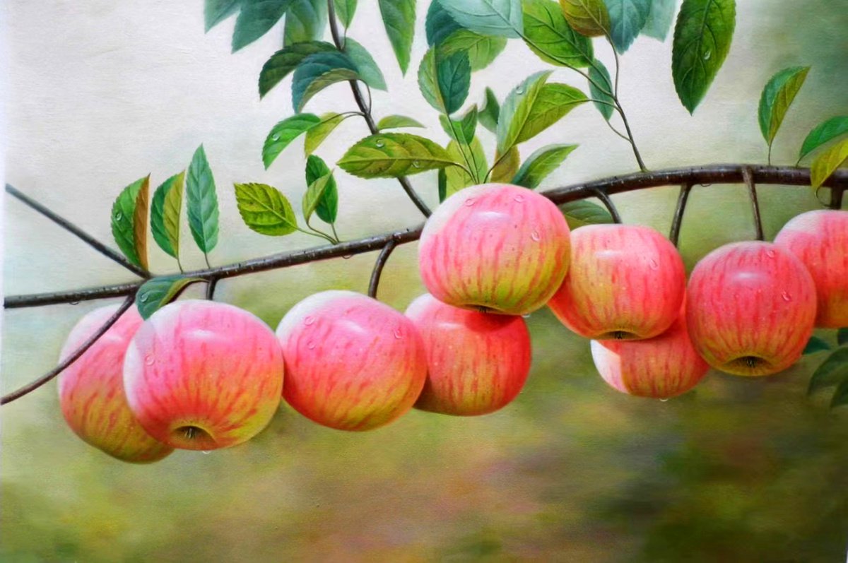 Still life:apples on the trees by Kunlong Wang