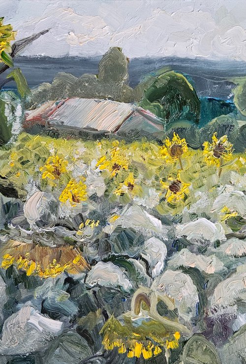 Sunflower by Vera Stein