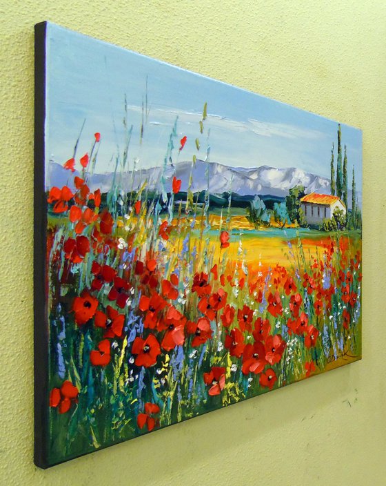 Poppy field near the mountains