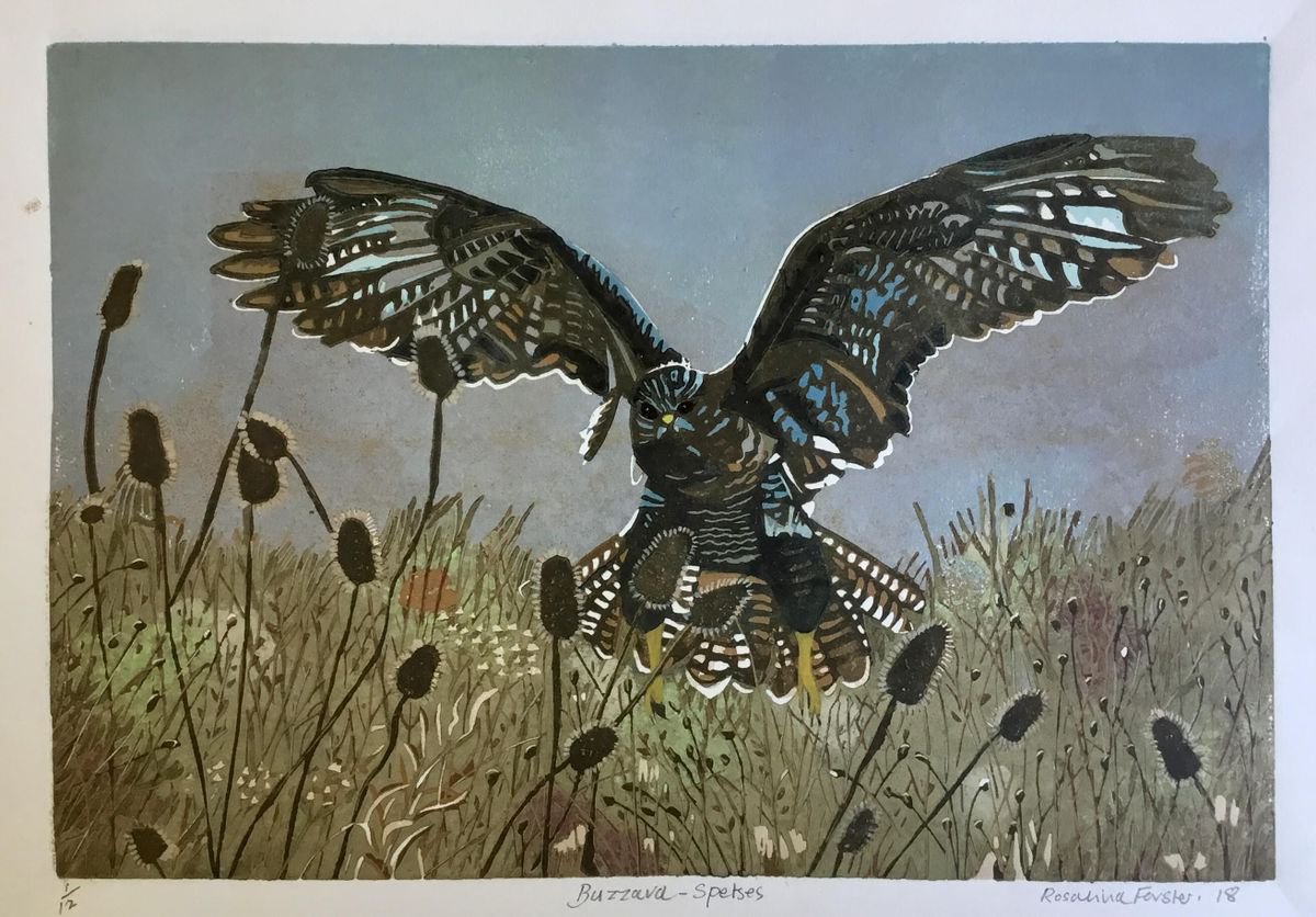 Buzzard Spetses by Rosalind Forster