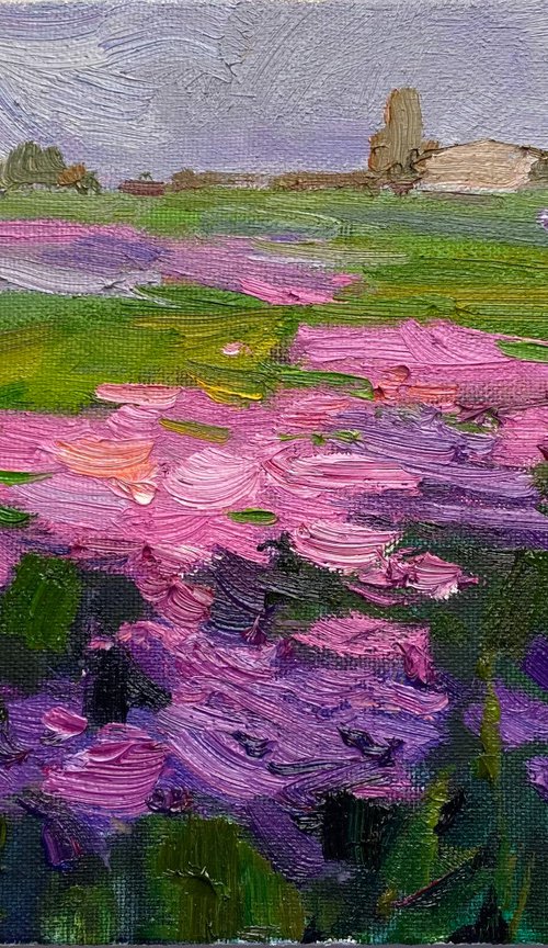 Violet field by Nataliia Nosyk