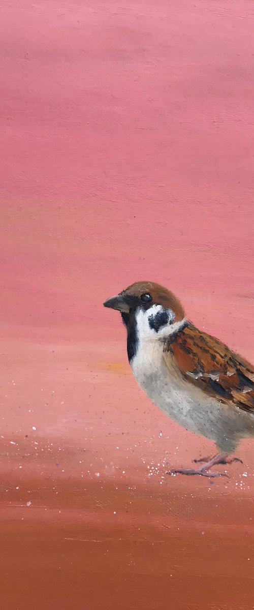 Garden Sparrow on Rose Gold by Laure Bury
