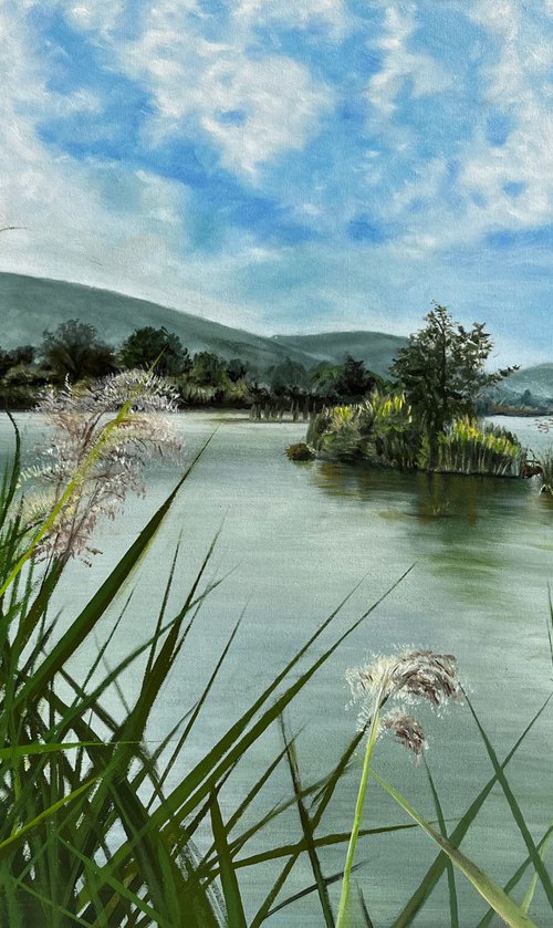 Whispers of the Sebino Wetlands by Angelo Di Carlo