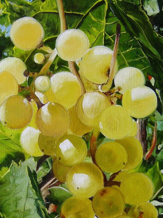 Ripe Grapes