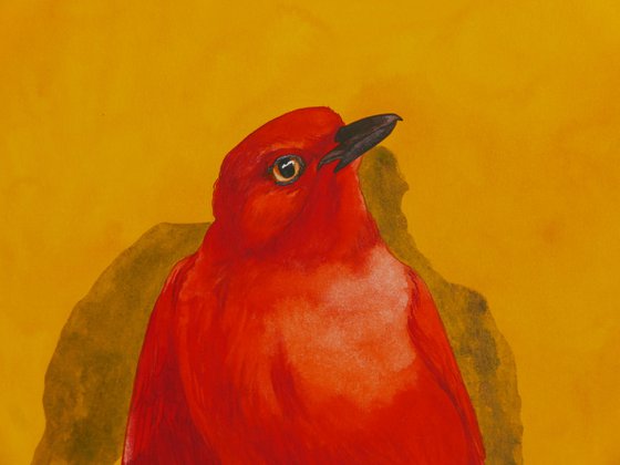 Red Blackbird