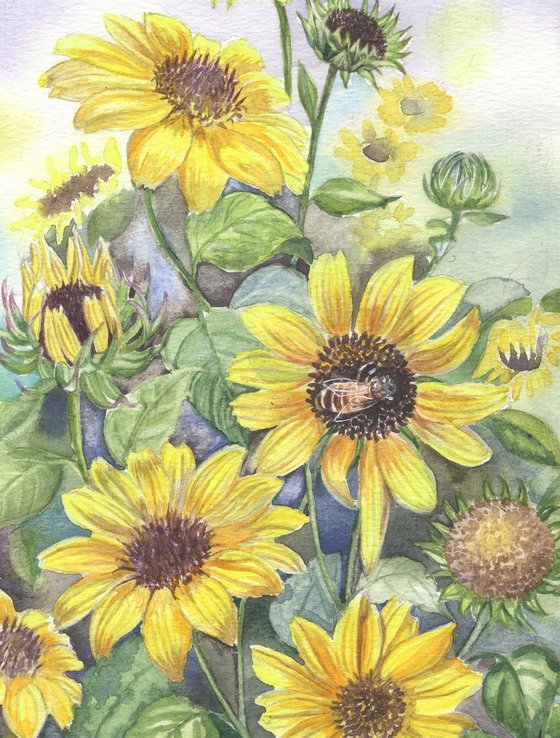 Sunflowers
