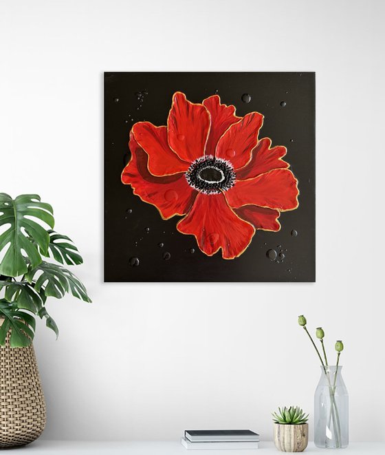 Anemone
