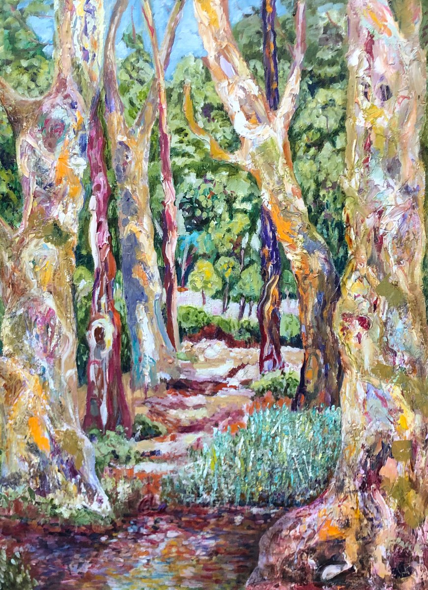 GUM TREES BY THE RIVER by Maureen Finck