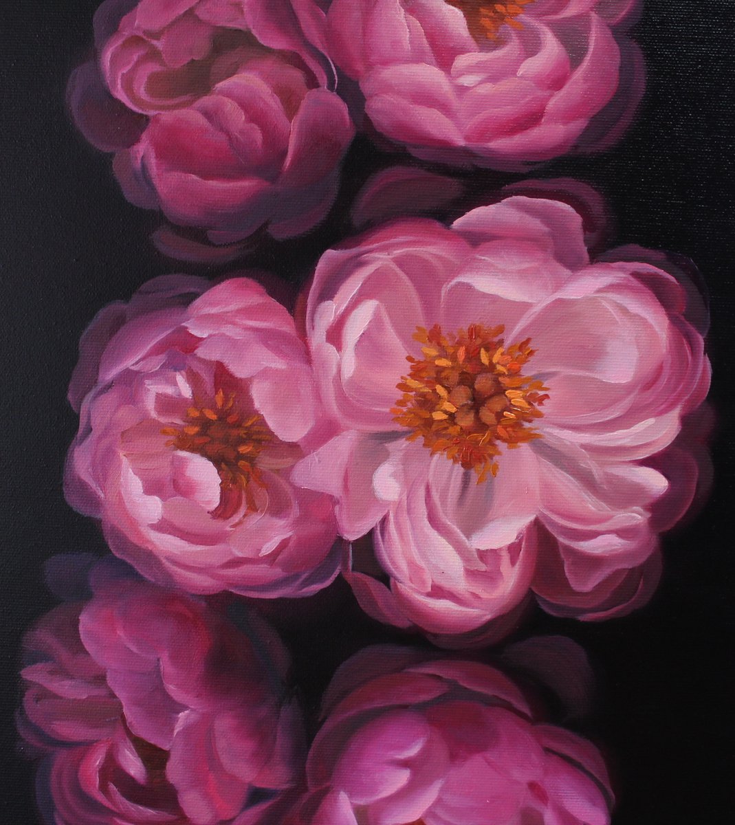 Sweet illusion by Natalia Zhukova
