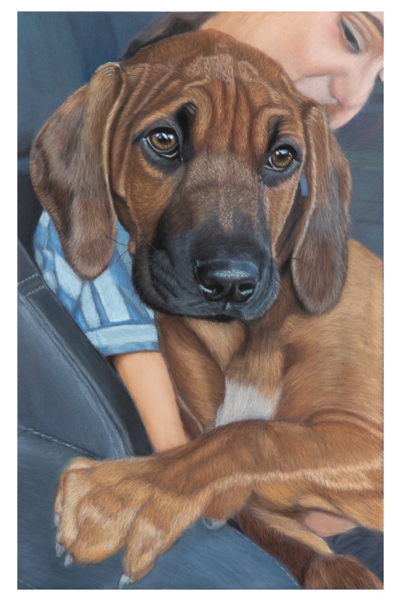 A3 size Pet Commission by Gary Thomas