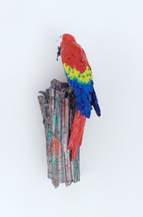 Scarlet Macaw Clay Lick