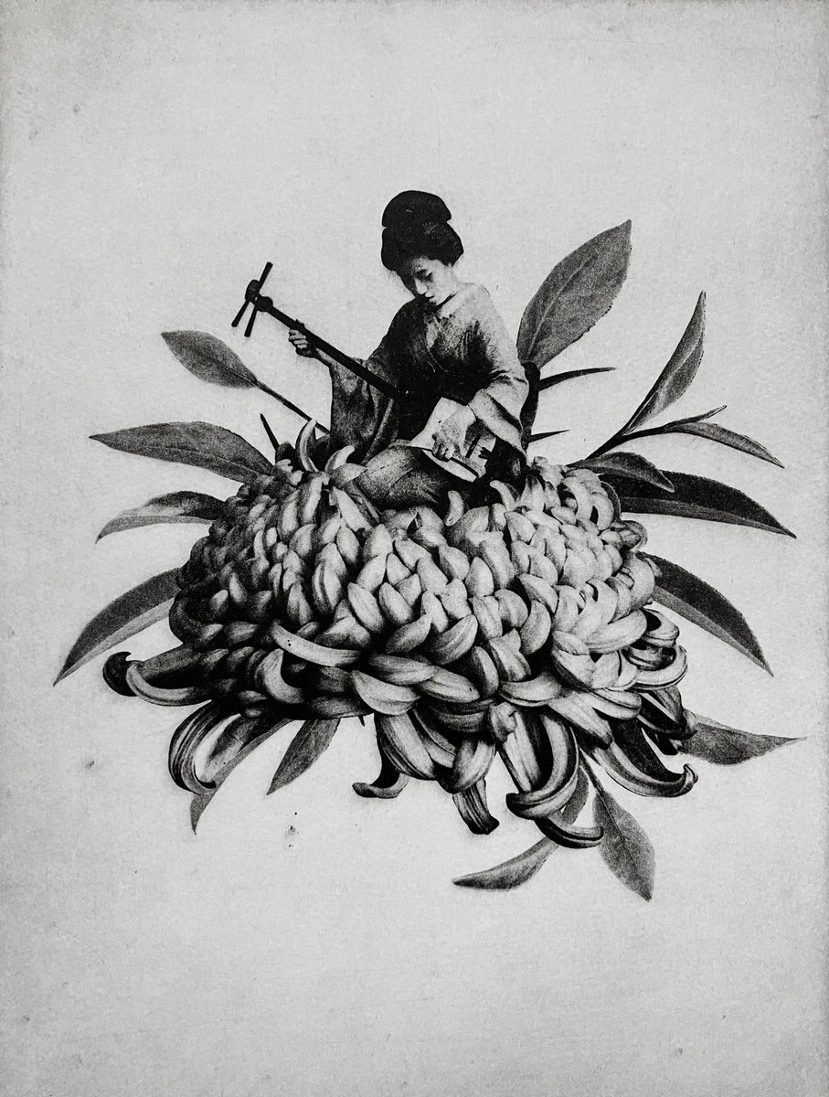 Photorealistic Portrait Etchings & Engravings By Jaco Putker, 10 X 13, Kiku Ii, Original Artwork