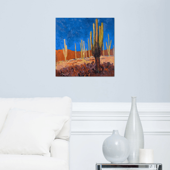 Shadows of the Southwest