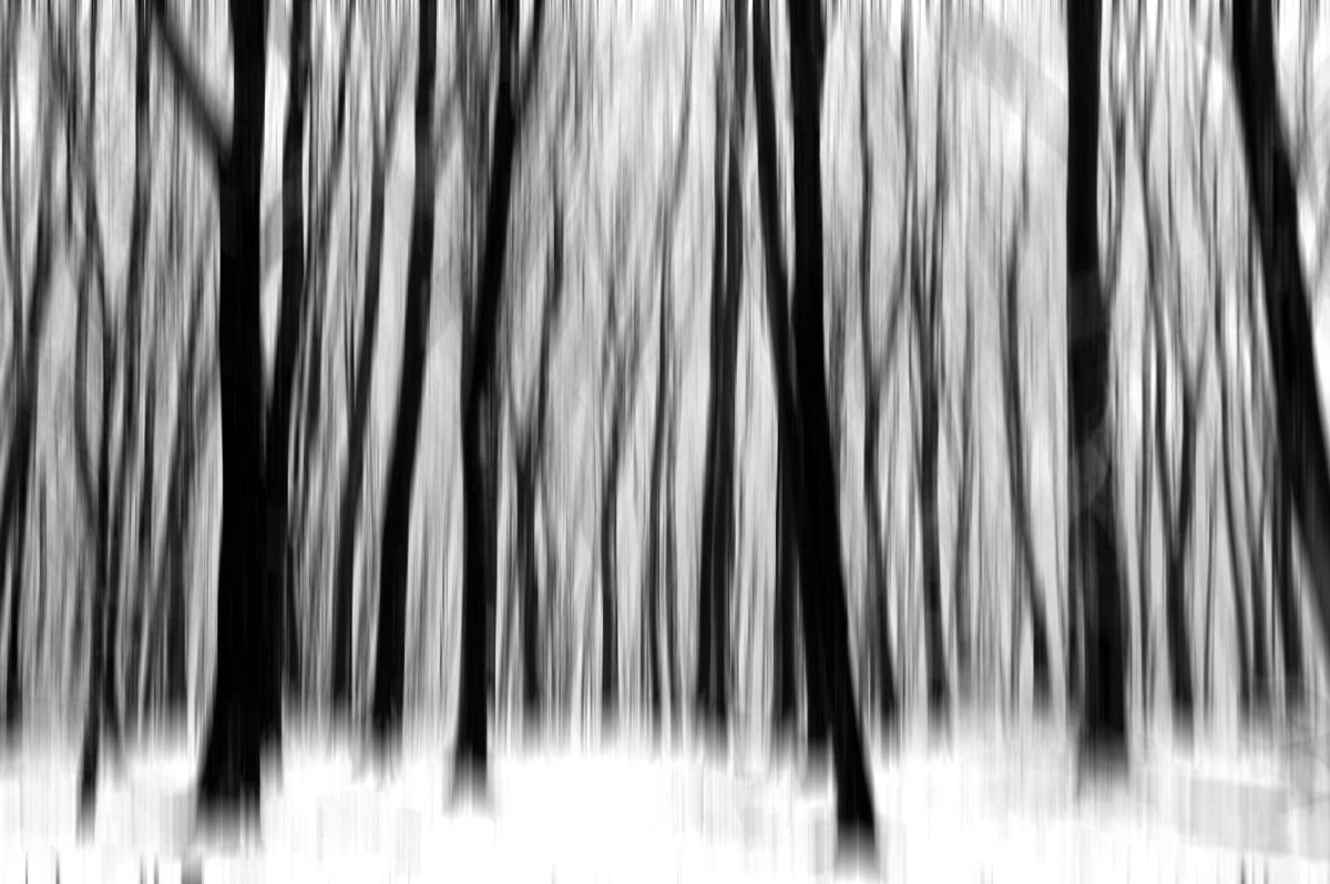Blurred Trees by Russ Witherington