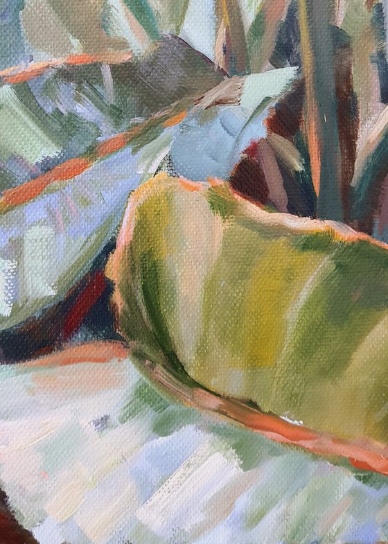 Birds of Paradise