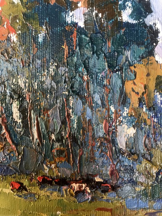 In the Shadow of Sedge