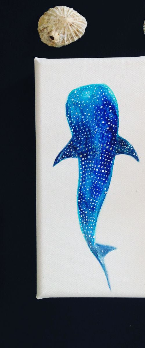 Whale Shark Acrylic Painting by Victoria Lucy Williams