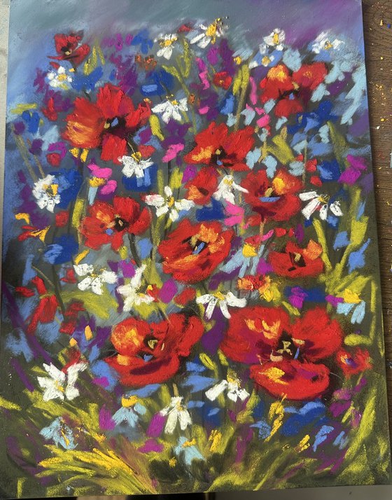 Red poppies wildflowers