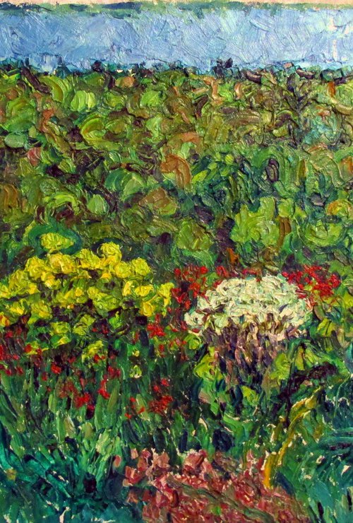 Summer Highland landscape with vegetation by Richard Meyer
