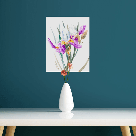 iris Flowers