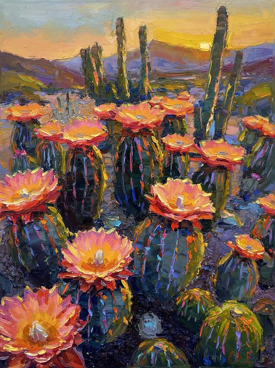 "Morning in Canyon "