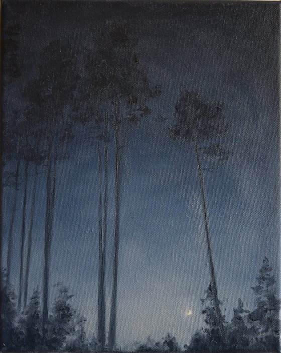 Twilight
