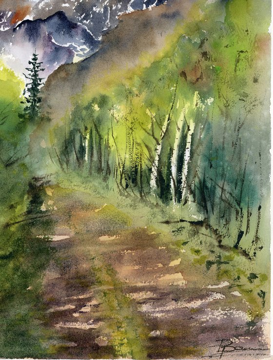 Mountain Path in Morning