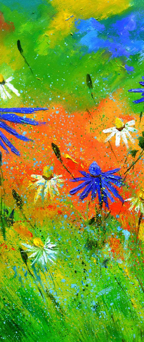 Wild flowers - 7723 by Pol Henry Ledent