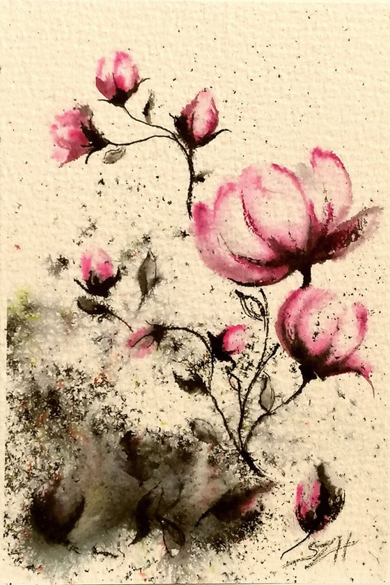 Magnolias