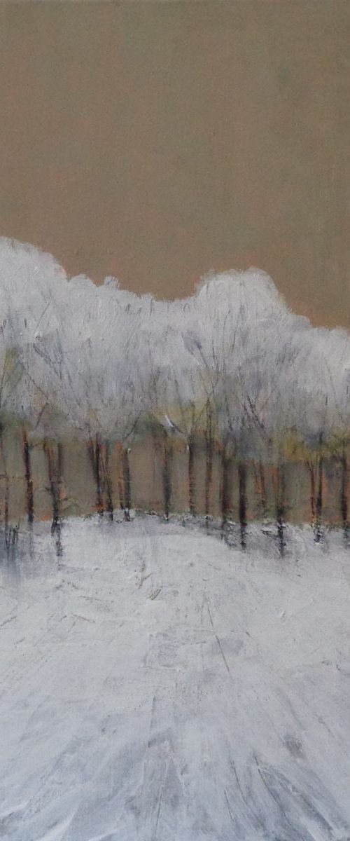 Winter Tracks by Fiona Philipps