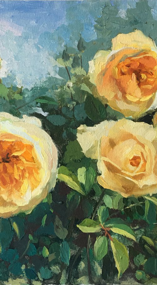 Rose Garden #03 by Ling Strube