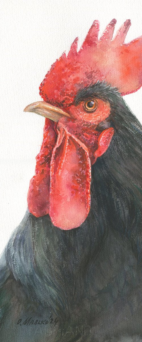 Big Boss. Rooster / ORIGINAL watercolor 11x14in (28x38cm) by Olha Malko