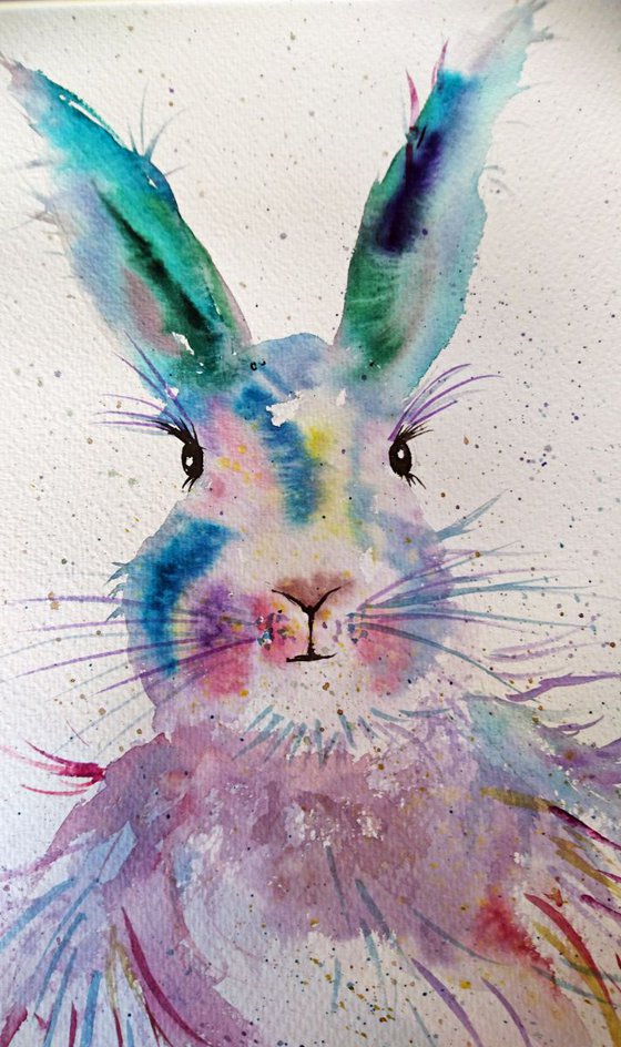 Rabbit in colour