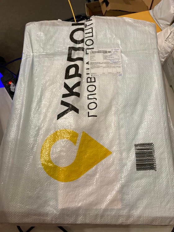 IN A JAPANESE GARDEN