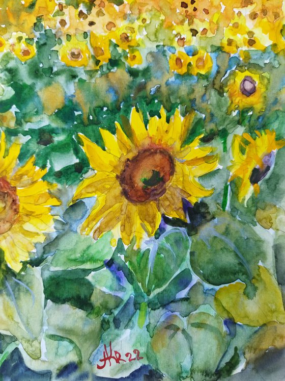 Landscape with sunflowers