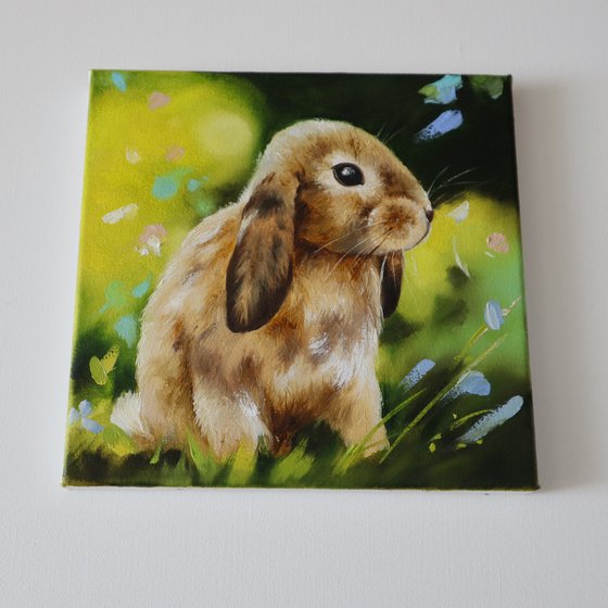 Little Bunny in Spring Light