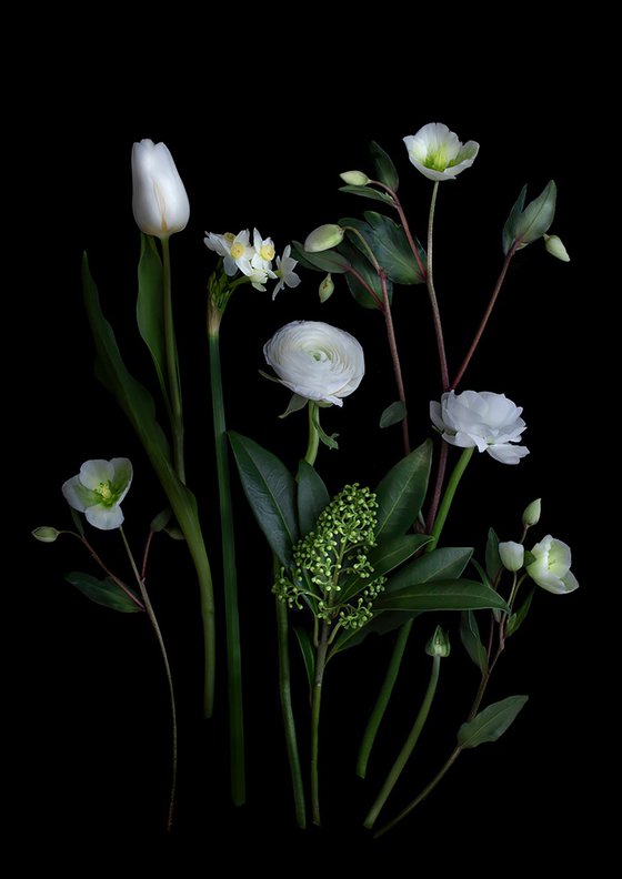 Winter White