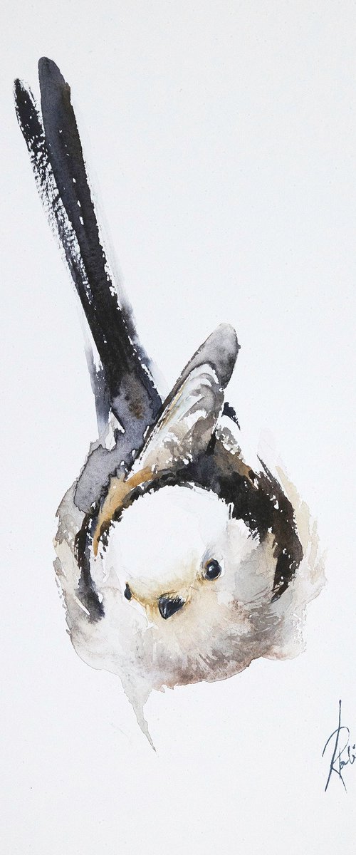Long-Tailed Tit 3 by Andrzej Rabiega