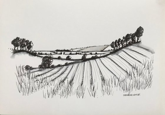 English Landscape, Norfolk- trees hedges and fields.