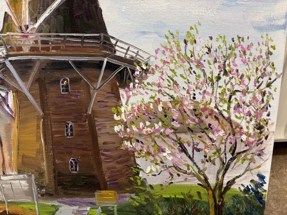Magnolia and Historic Windmill