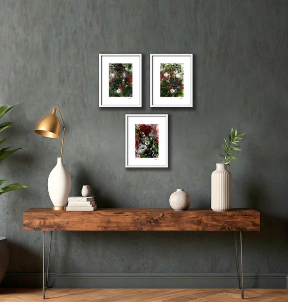 Mystic Garden Collection 1