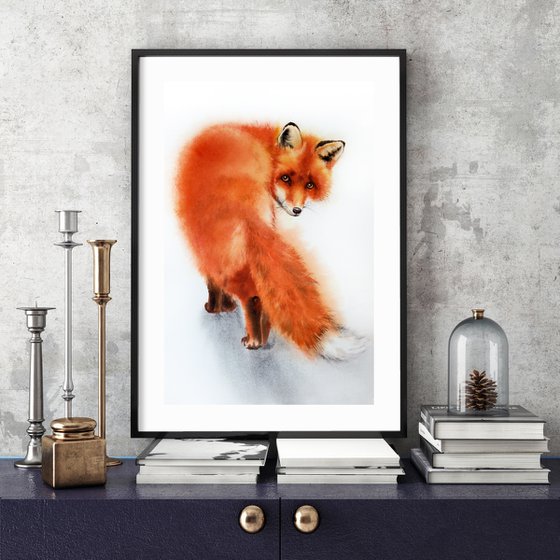 Red Fox Watercolor – wildlife - wild animals - foxy