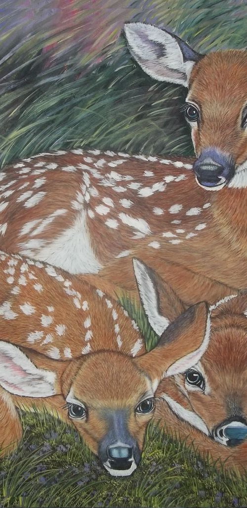 Three whitetail deer fawns by Sofya Mikeworth