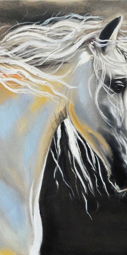 White Horse by Valeriia Radziievska