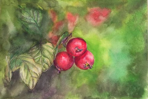 Berries by Ksenia Lutsenko