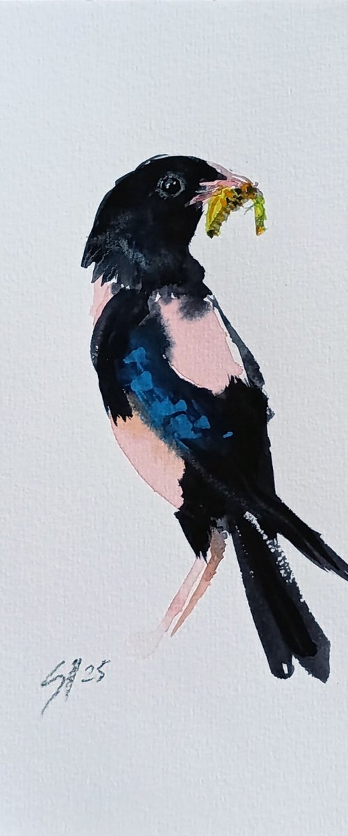 Rosy Starling III by Salana Art / Svetlana Samovarova